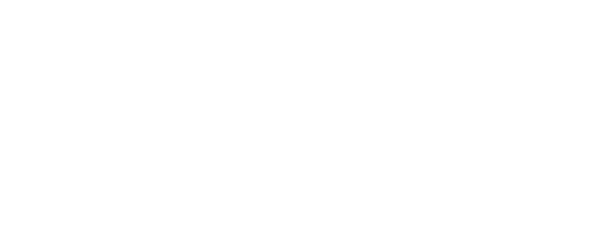 Lifespan Insulation Logo White